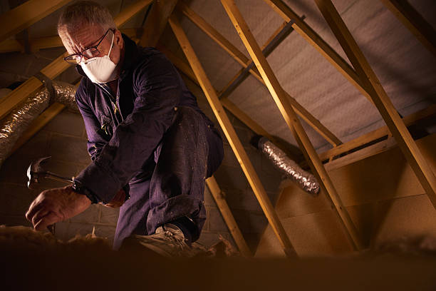 Best Insulation Maintenance and Repair in Gowanda, NY